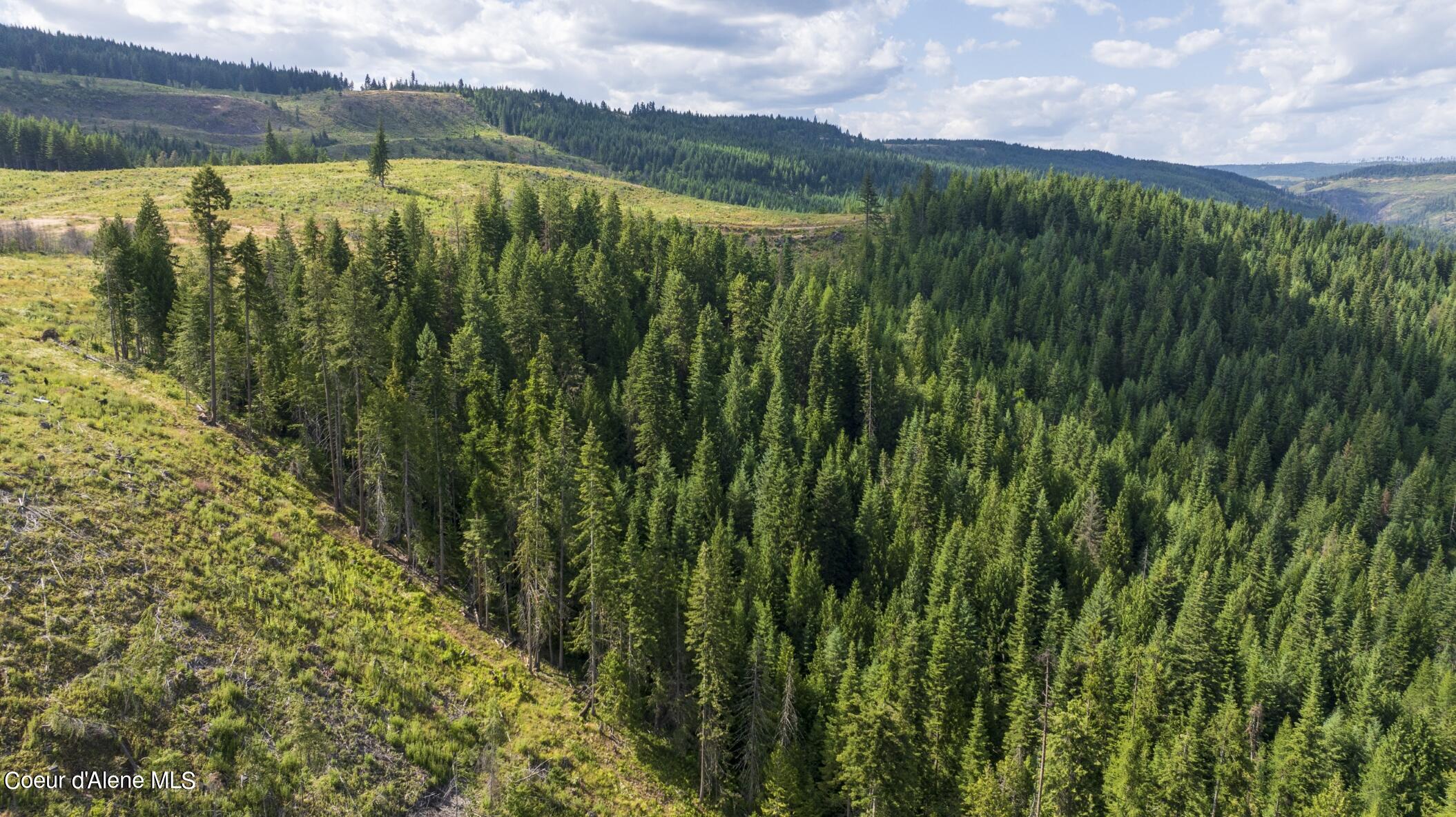 7362 South Dick's Creek Road Kendrick, ID 83537 - Photo 7 of 51 7