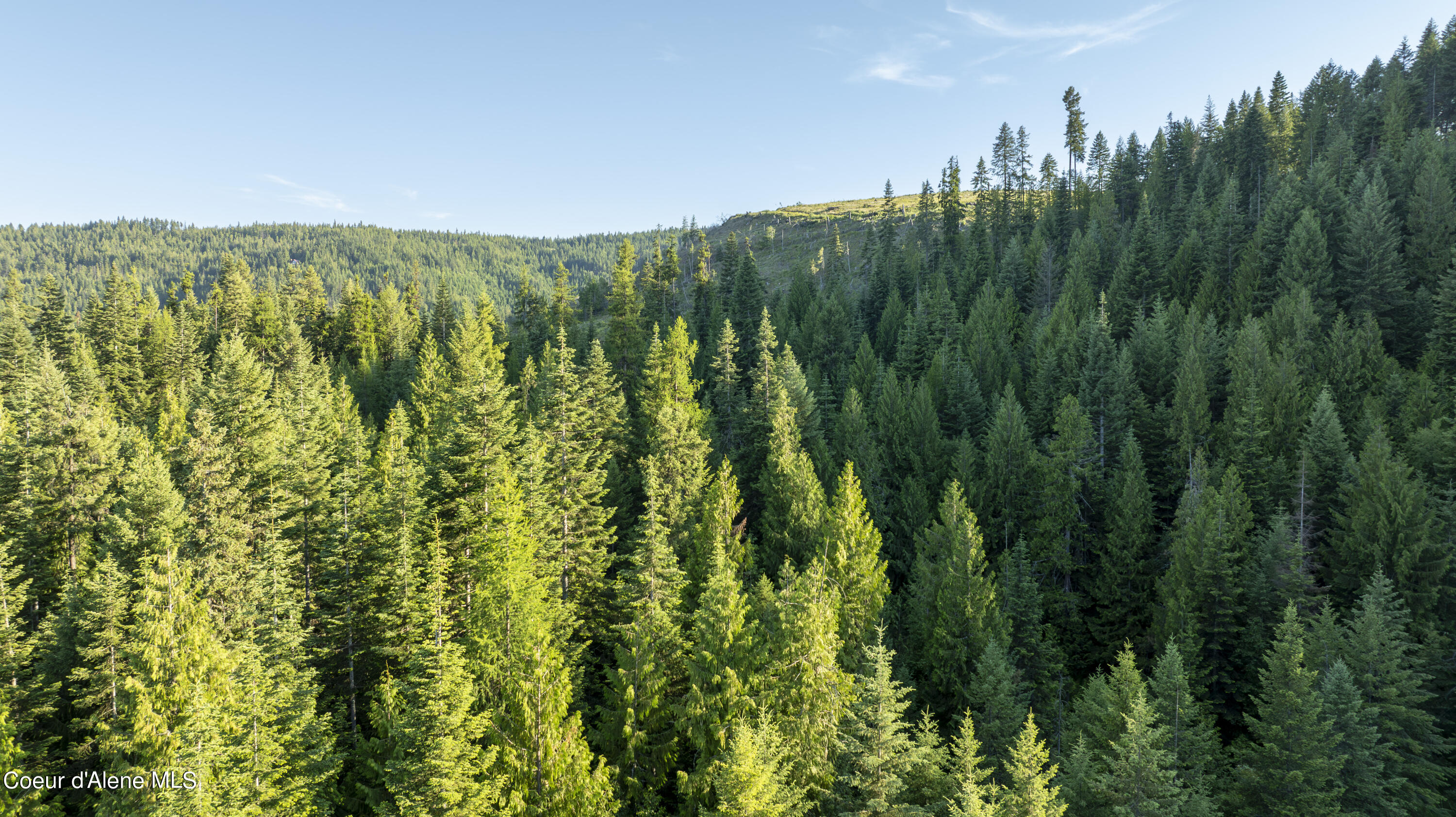 7362 South Dick's Creek Road Kendrick, ID 83537 - Photo 8 of 51 8