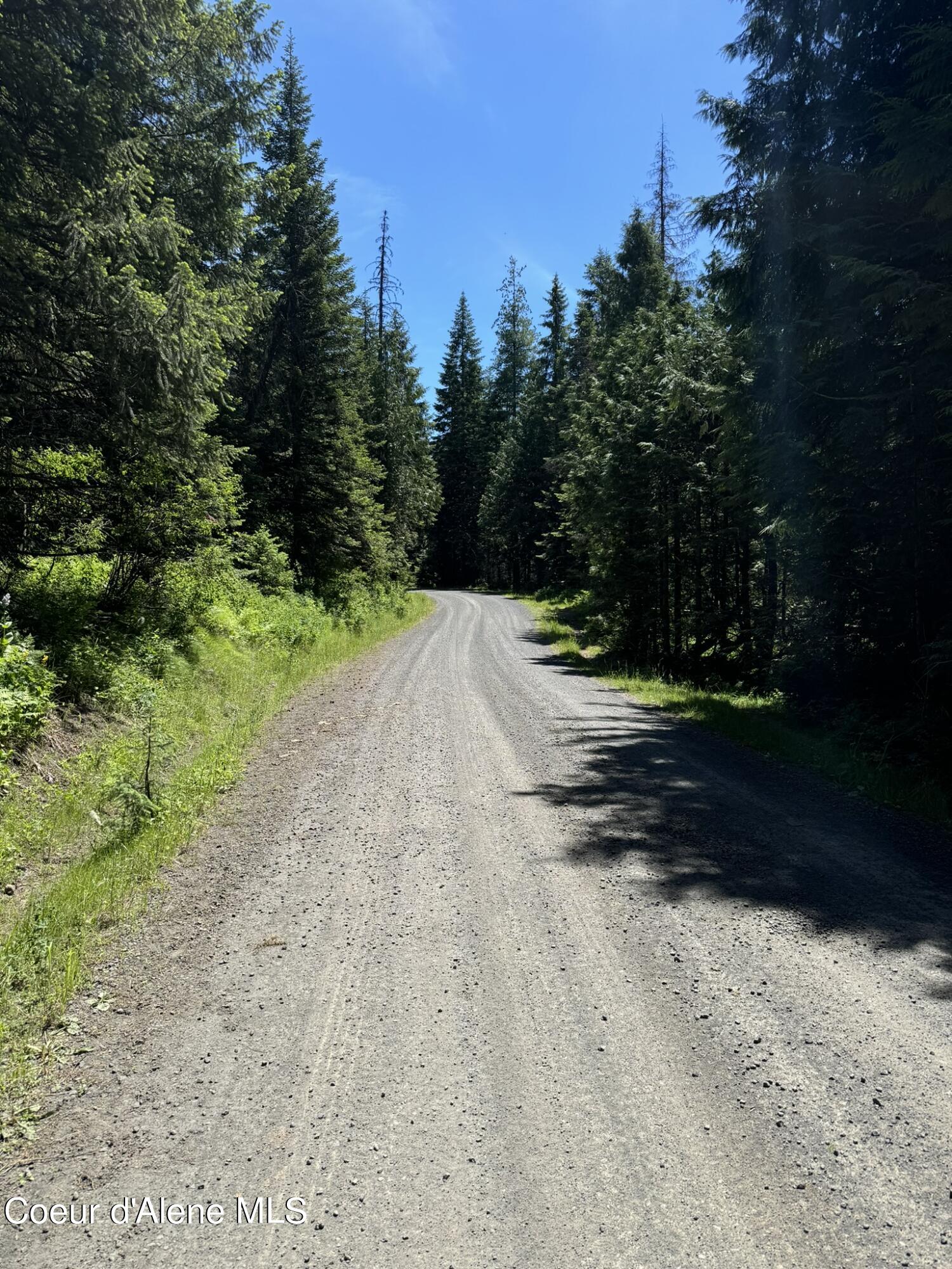 7362 South Dick's Creek Road Kendrick, ID 83537 - Photo 9 of 51 9