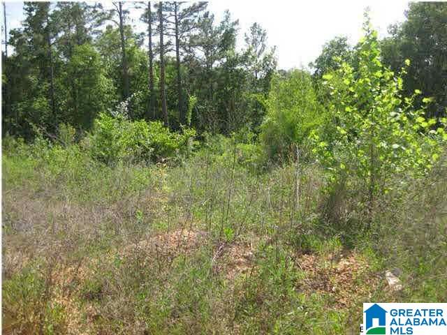 16 Mitch Lane, Unit 16 Alabaster, AL 35007 - Photo 2 of 11