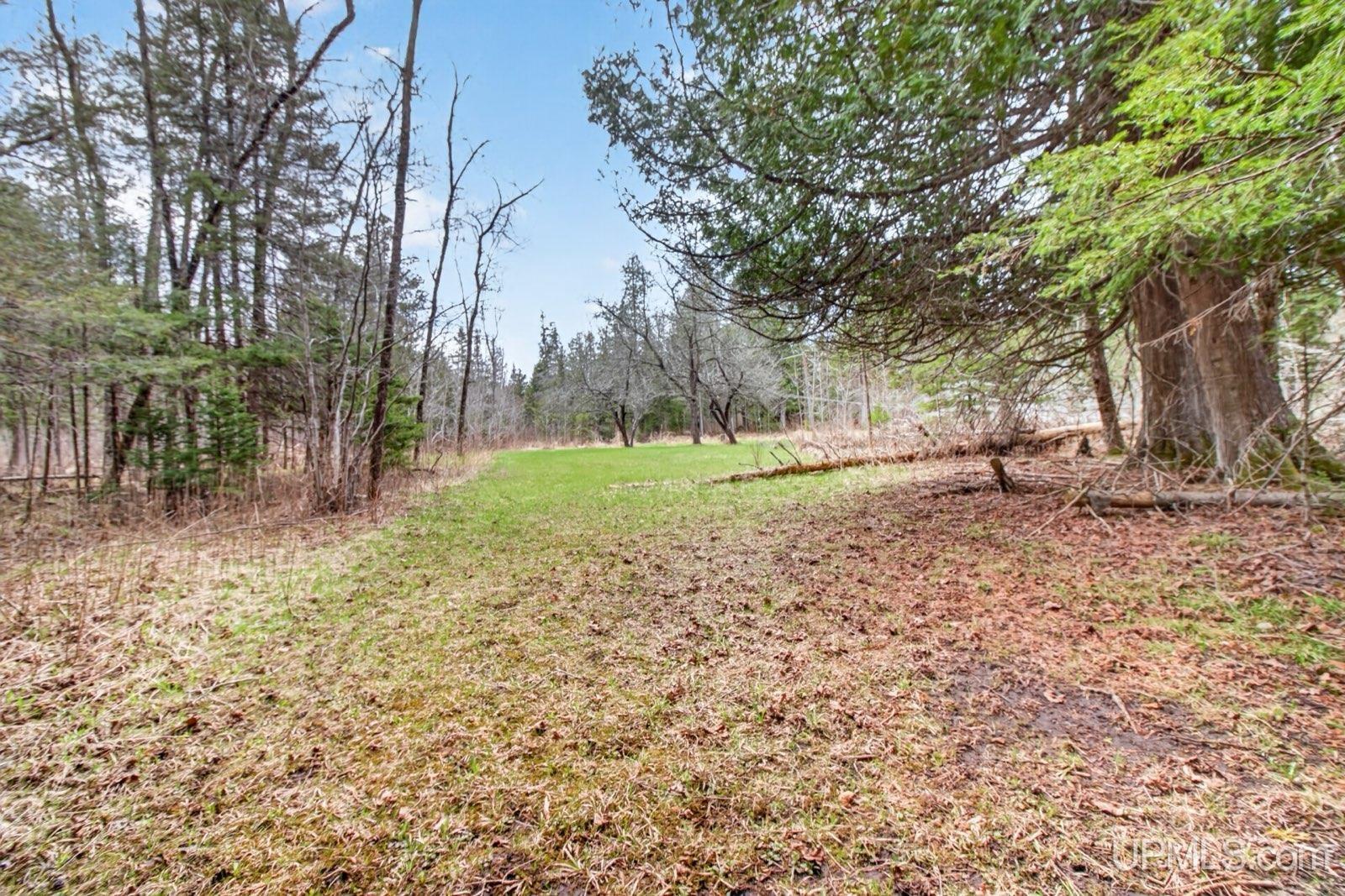 8202 County 503 CC Road Rapid River, MI 49878 - Photo 11 of 15