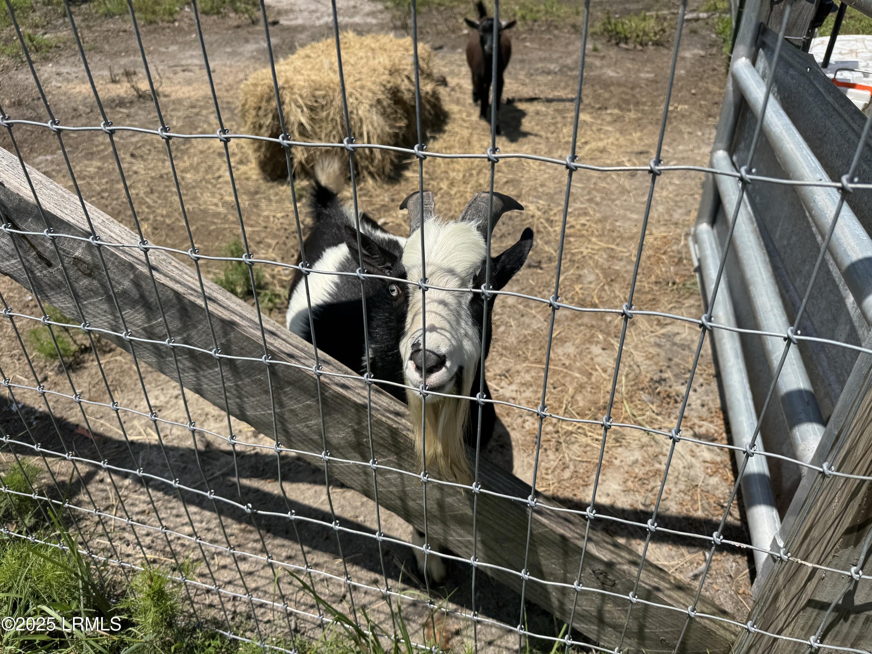 661 County Rd S-25-703 Estill, SC 29918 - Photo 30 of 37 IMG_4331