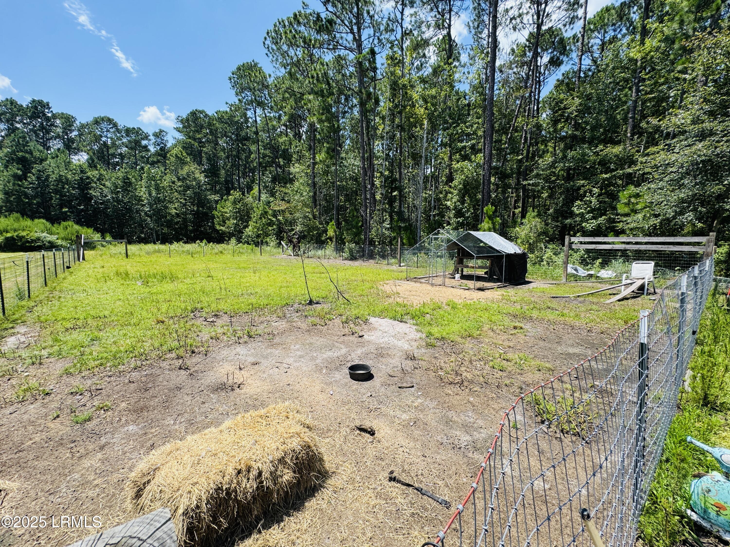 661 County Rd S-25-703 Estill, SC 29918 - Photo 31 of 37 IMG_4333