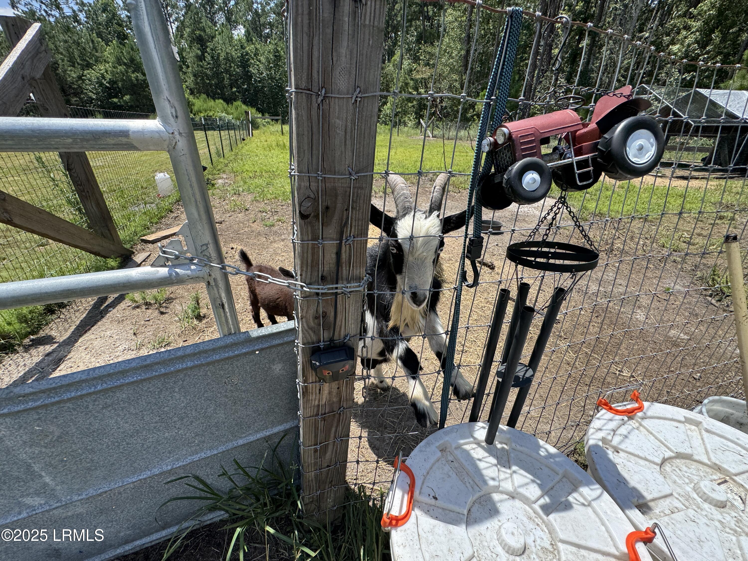 661 County Rd S-25-703 Estill, SC 29918 - Photo 32 of 37 IMG_4334