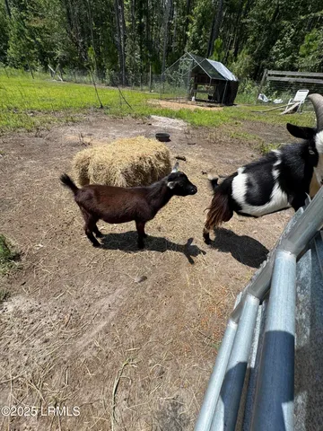 $285,000 | 661 County Rd S-25-703, Estill, SC 29918