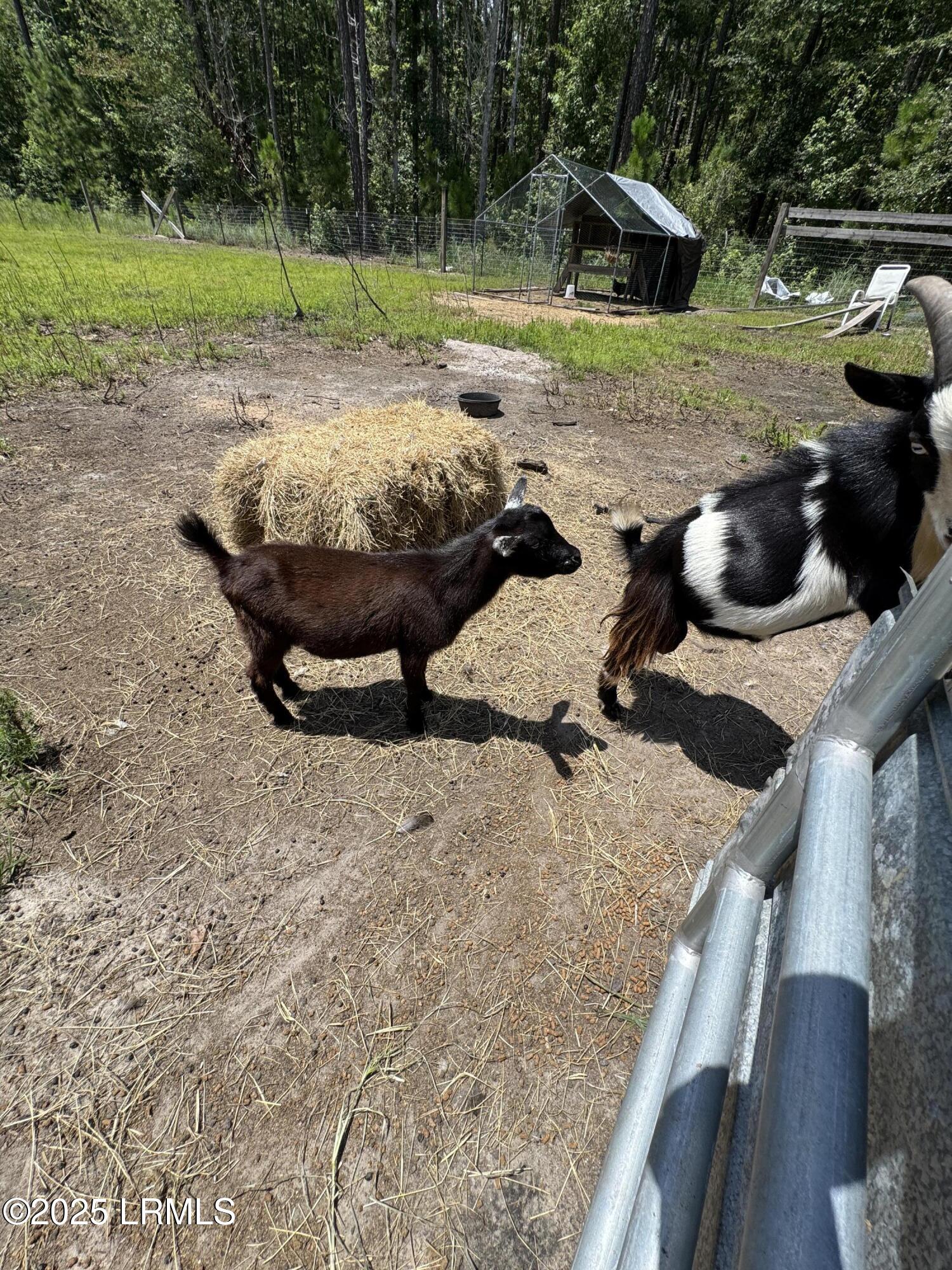 661 County Rd S-25-703 Estill, SC 29918 - Photo 33 of 37 IMG_4335