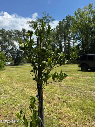 $285,000 | 661 County Rd S-25-703, Estill, SC 29918