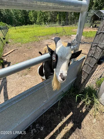 $285,000 | 661 County Rd S-25-703, Estill, SC 29918