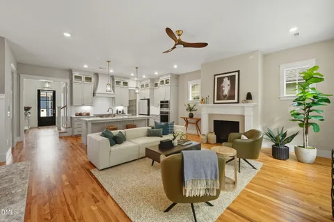 a living room with furniture a fireplace and a potted plant