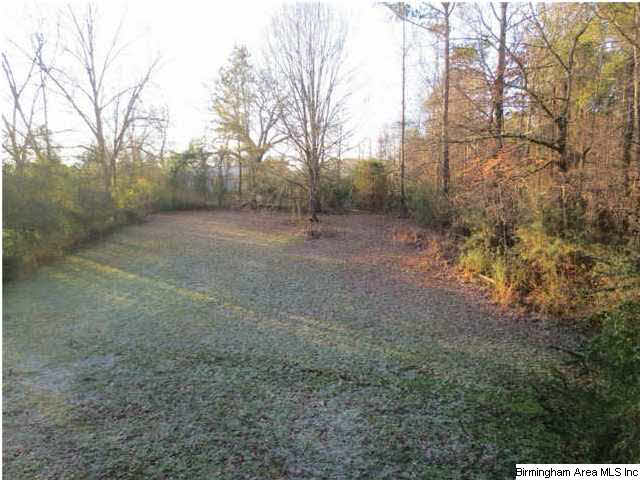 6520 Water Works Road Mount Olive, AL 35117 - Photo 27 of 27
