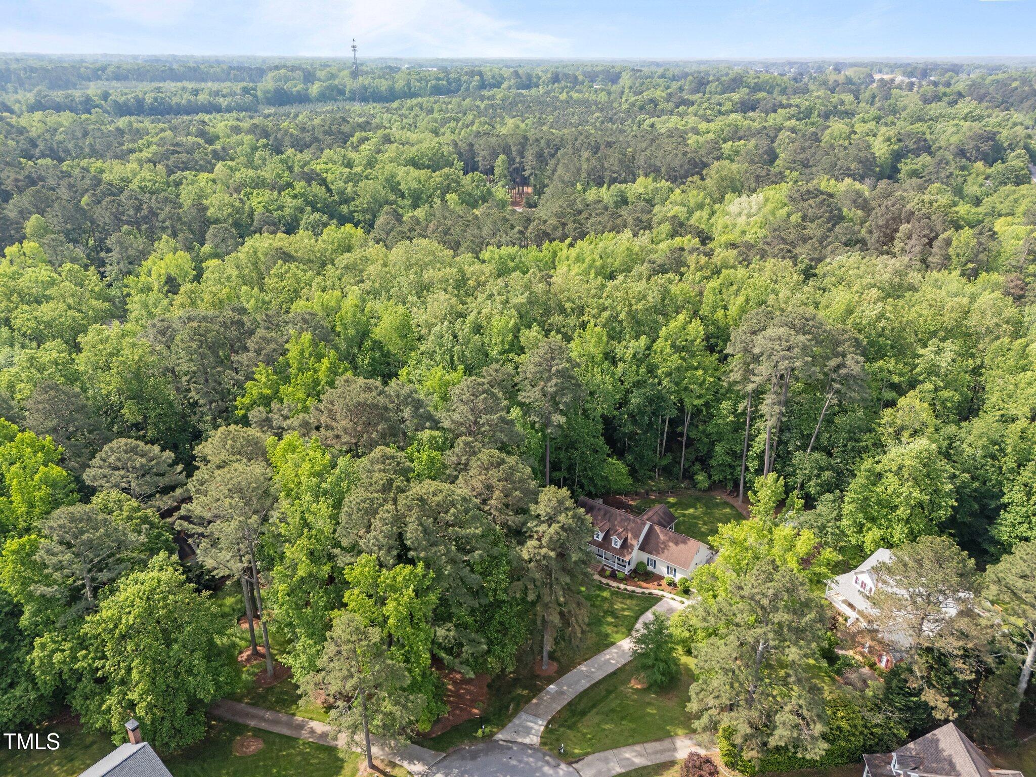 1245 Torchlight Way Raleigh, NC 27603 - Photo 40 of 47 54-web-or-mls-DJI_20250423102826_0899_D