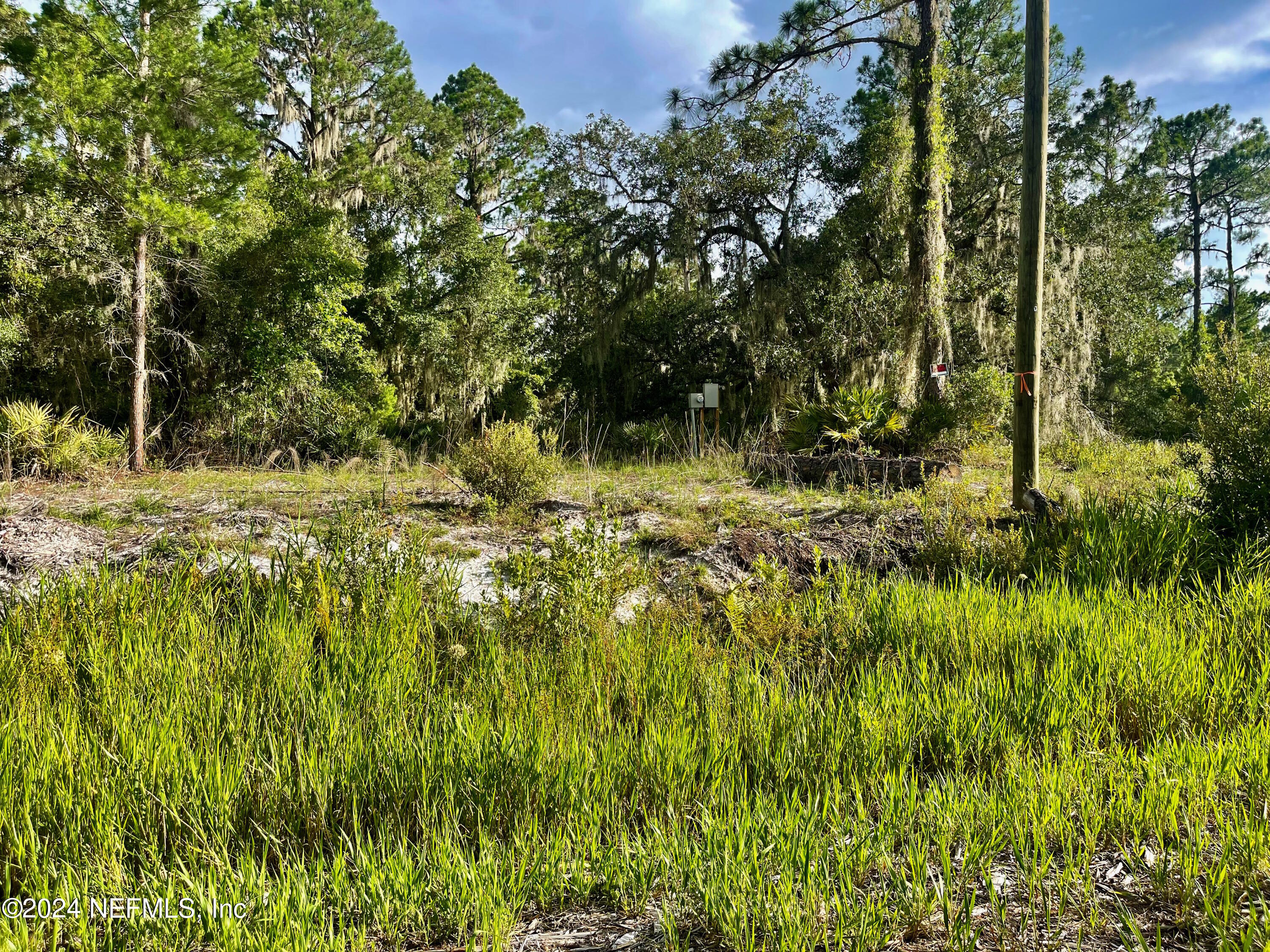 140 Jo Ann Road Georgetown, FL 32139 - Photo 3 of 7 Main 3