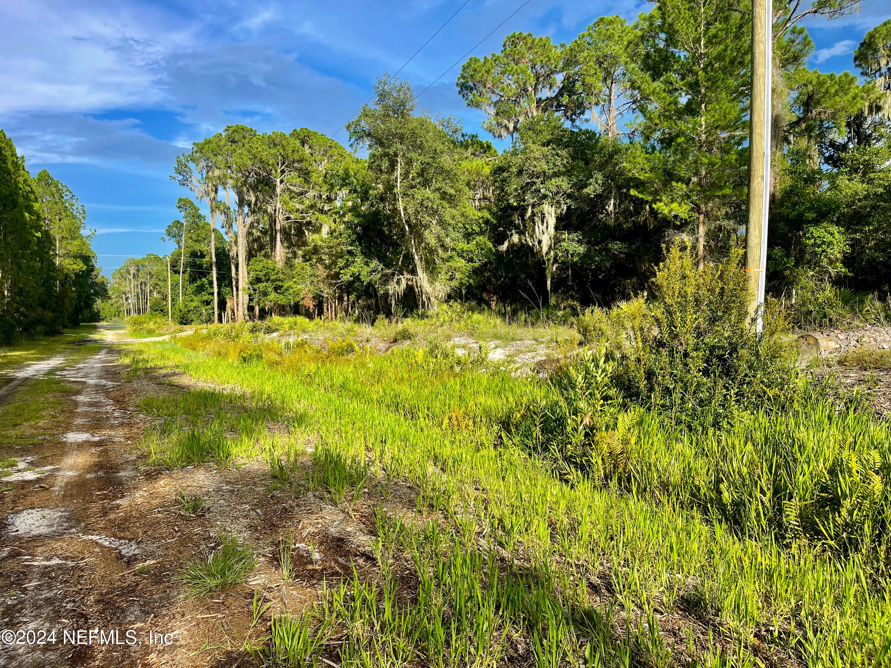 140 Jo Ann Road Georgetown, FL 32139 - Photo 7 of 7 main 7