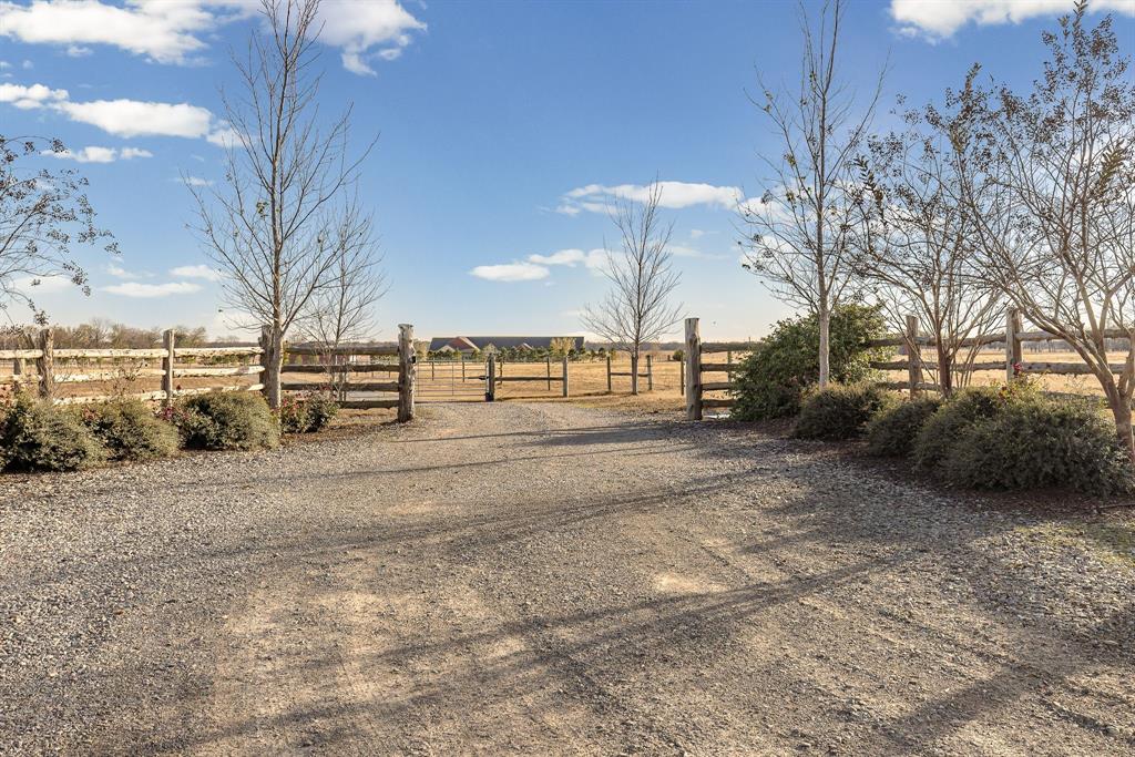 2263 County Road 33040, Unit 4 Brookston, TX 75421 - Photo 37 of 38 a view of road with large trees