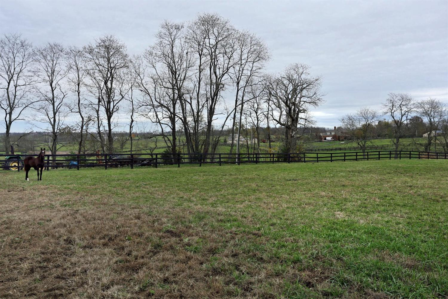362 Iron Works Road Paris, KY 40361 - Photo 40 of 44 Photo 40