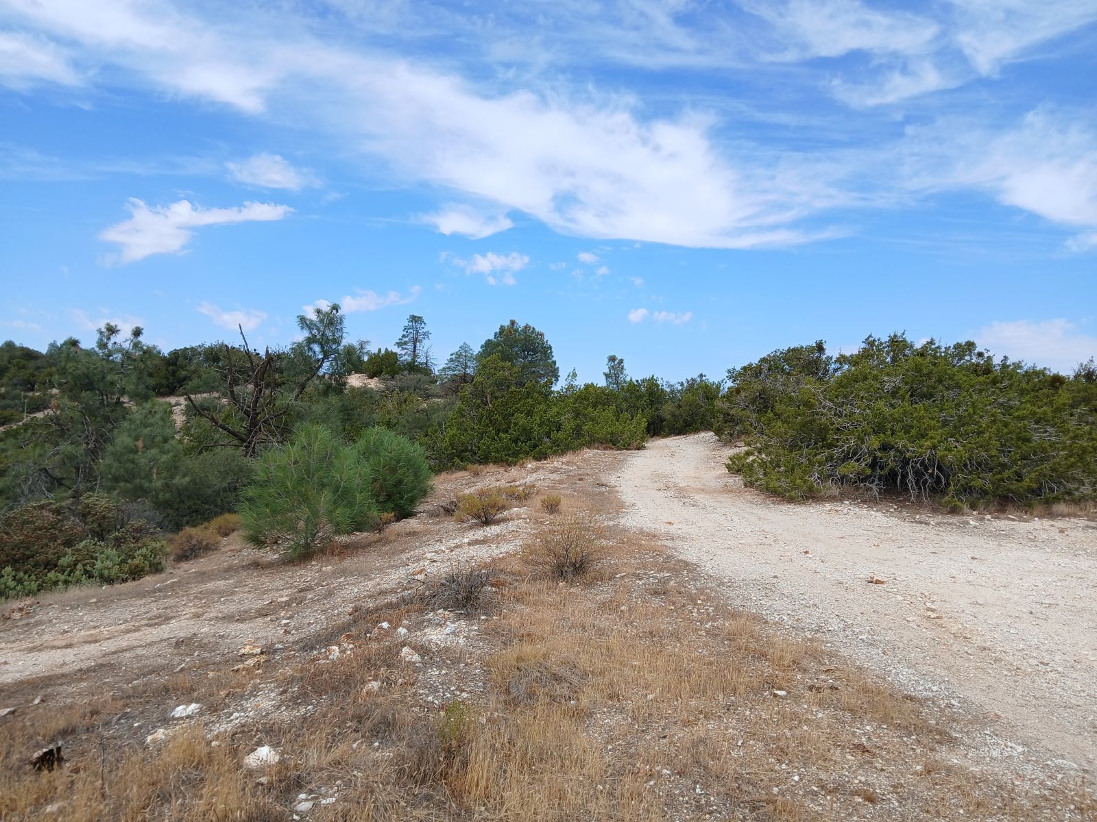 High Ridge Road Caliente, CA 93518 - Photo 12 of 12