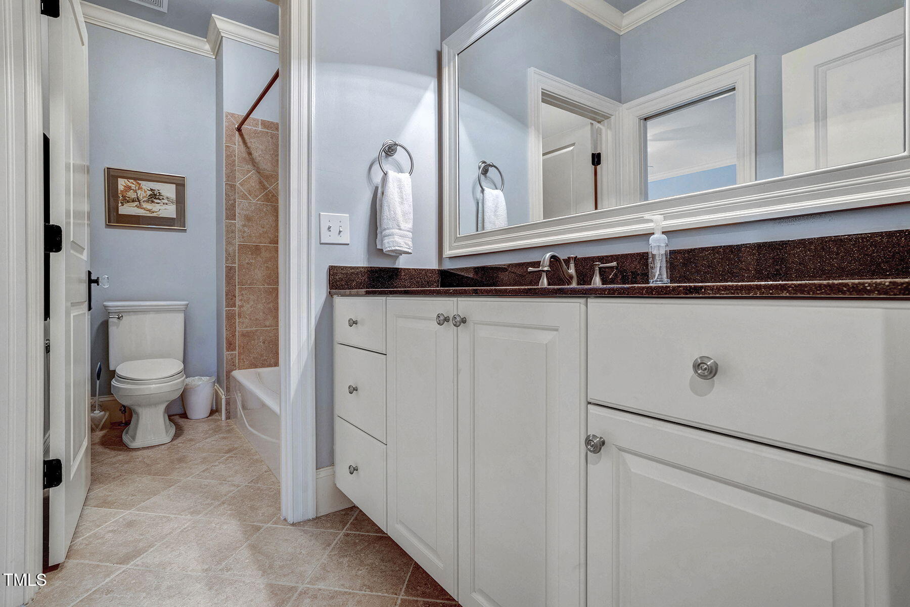1605 Hunting Ridge Road Raleigh, NC 27615 - Photo 40 of 55 a bathroom with a sink a toilet and a mirror