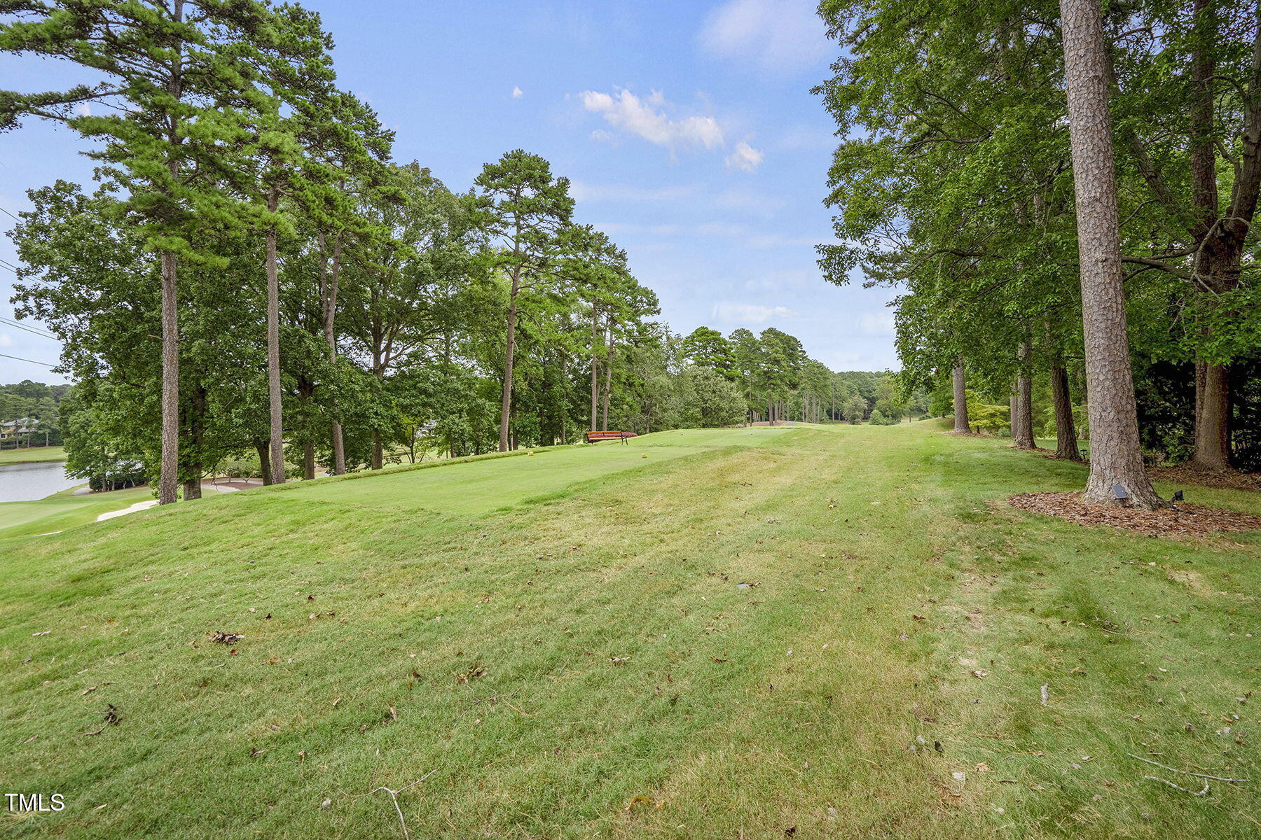 1605 Hunting Ridge Road Raleigh, NC 27615 - Photo 51 of 55 a view of a field with trees in the background