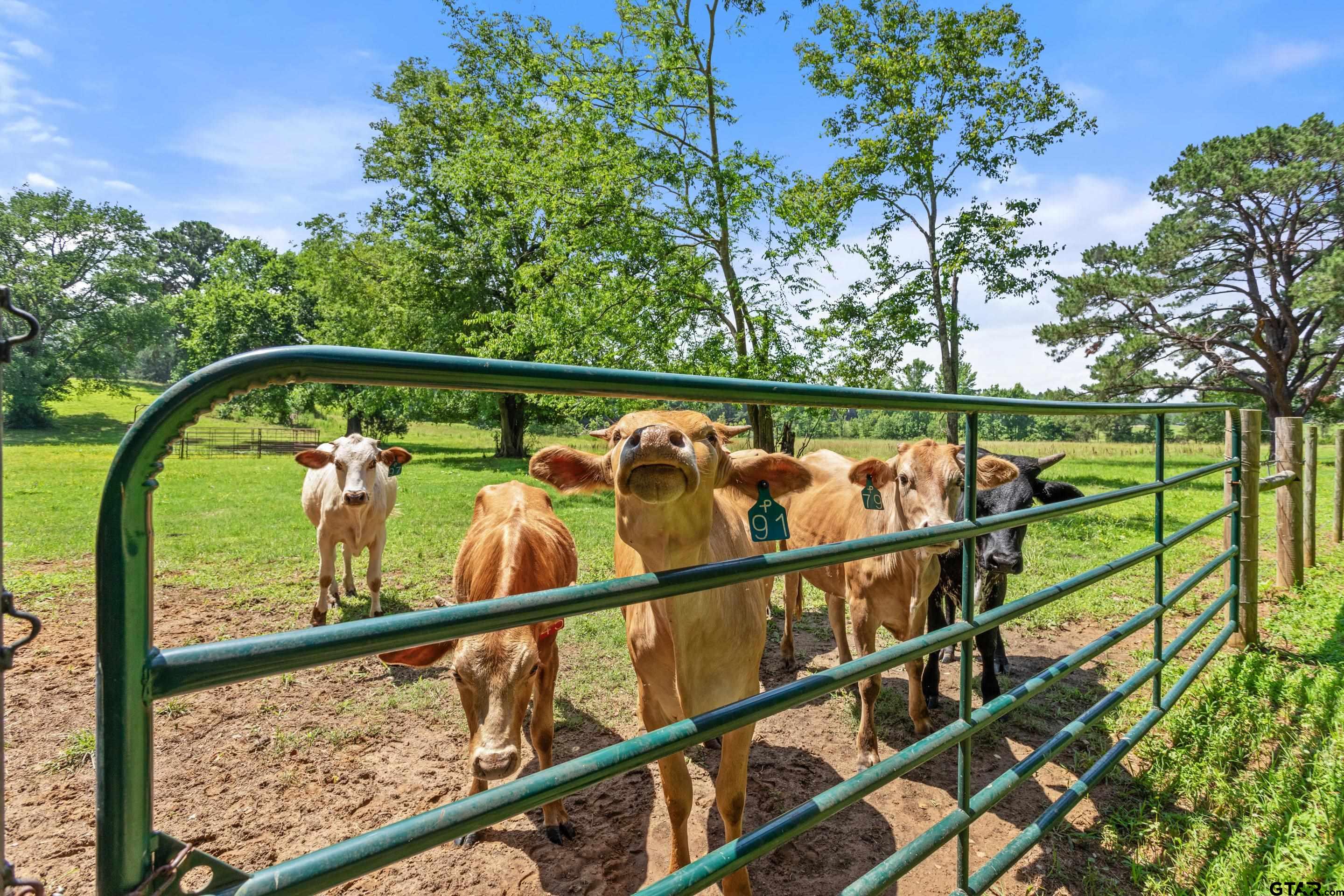 19678-c R 4125 C R 4125 Lindale, TX 75771 - Photo 12 of 48