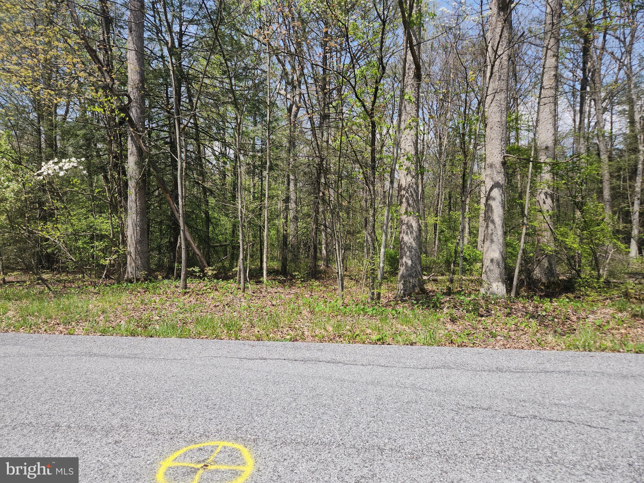 Lot 6 Fickes Road Imler, PA 16655 - Photo 3 of 10