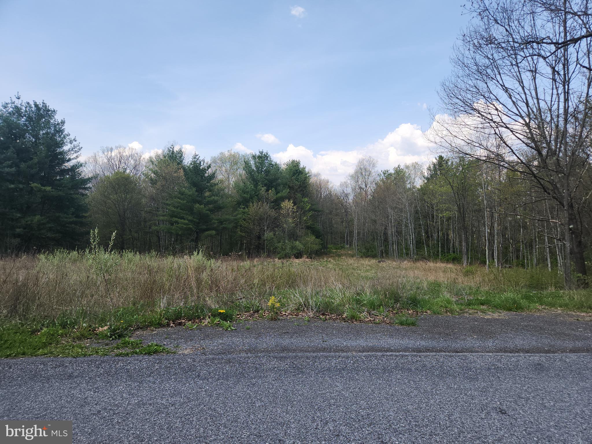 Lot 6 Fickes Road Imler, PA 16655 - Photo 4 of 10