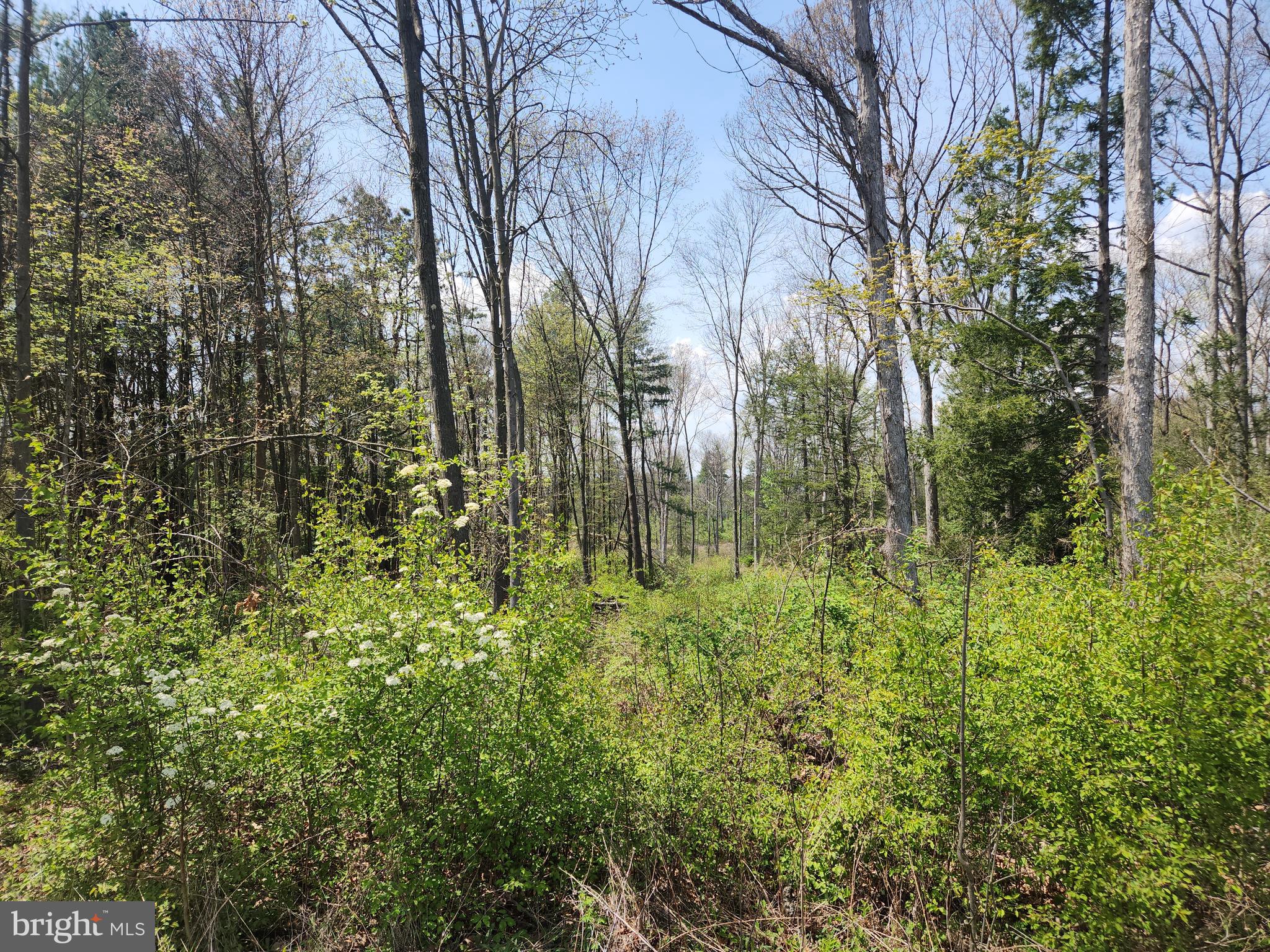 Lot 6 Fickes Road Imler, PA 16655 - Photo 7 of 10