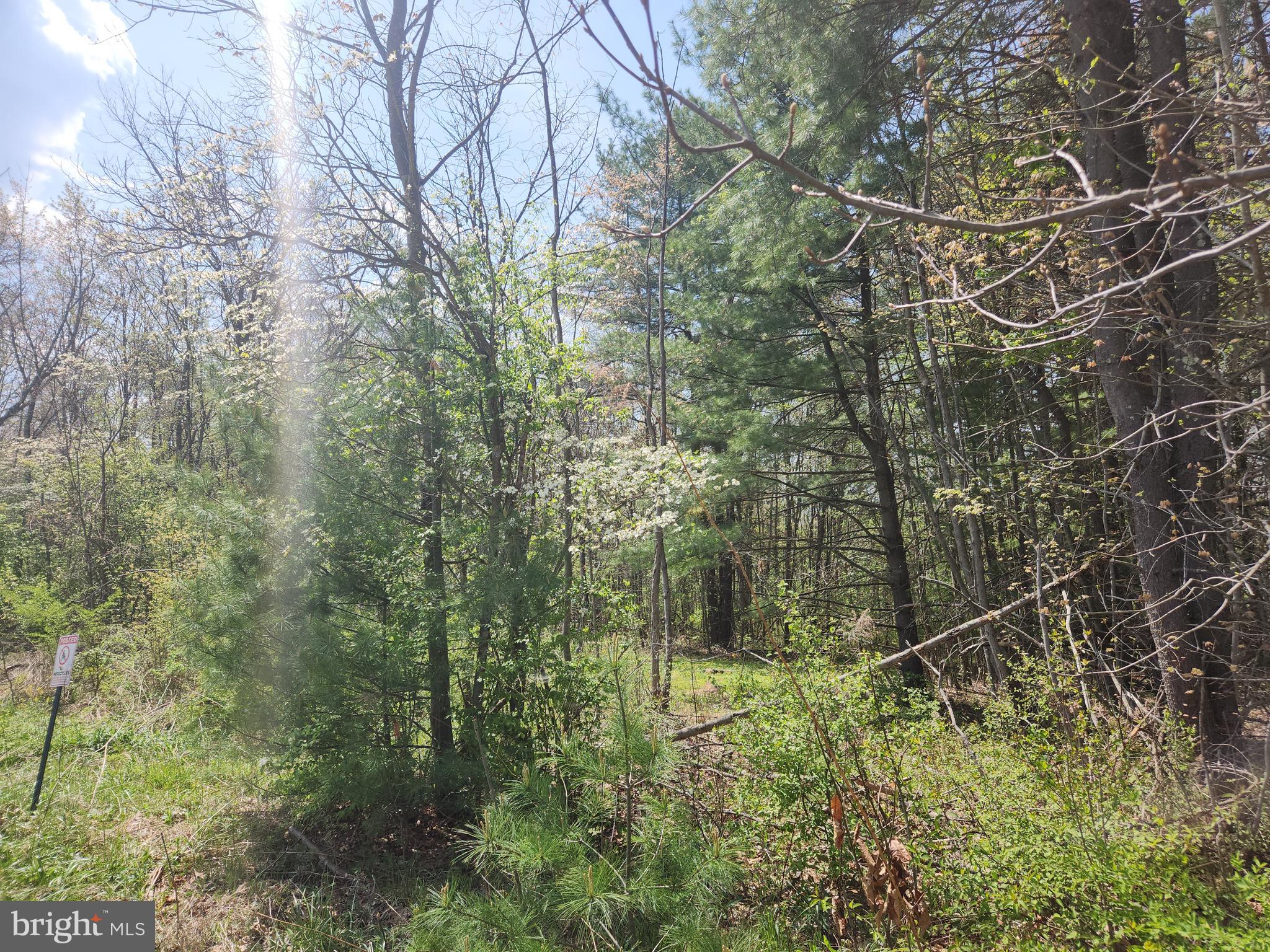 Lot 6 Fickes Road Imler, PA 16655 - Photo 8 of 10