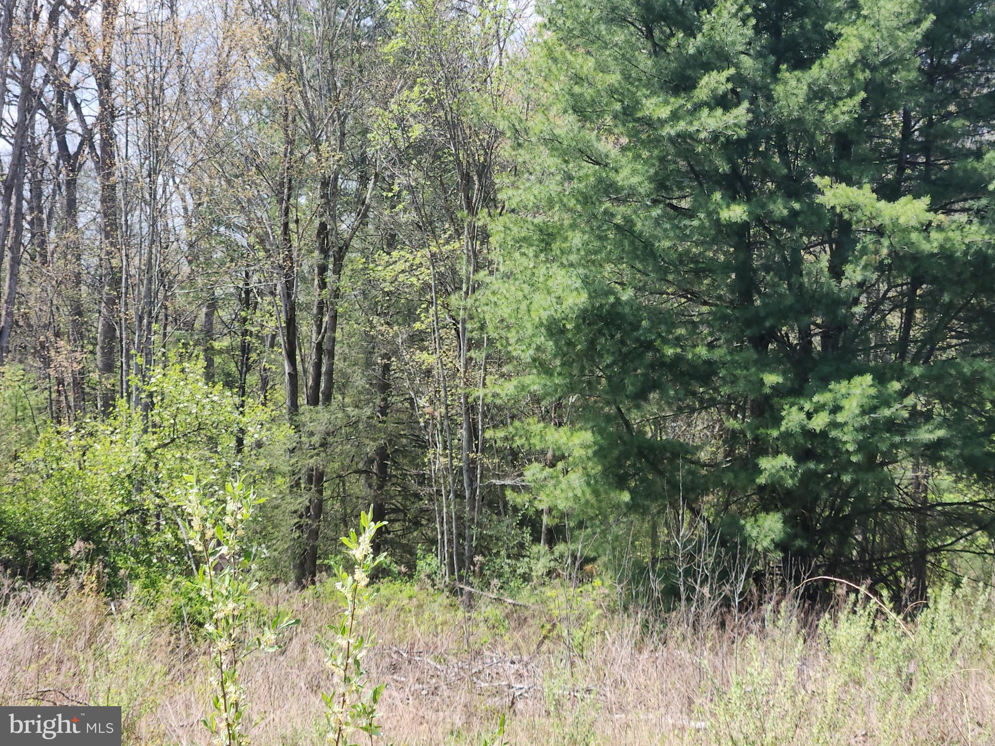 Lot 6 Fickes Road Imler, PA 16655 - Photo 10 of 10