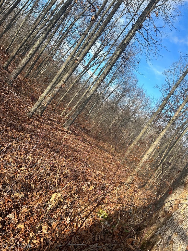 50748 Shenandoah Road Caldwell, OH 43724 - Photo 40 of 43 View of nature