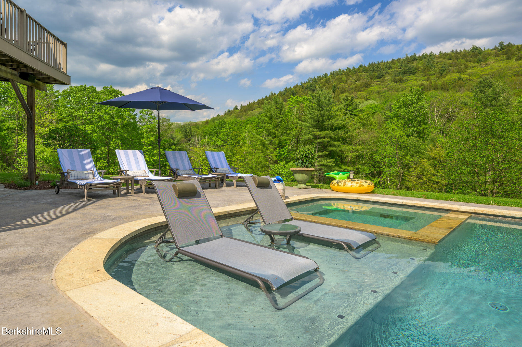 83 Maple Hill Road West Stockbridge, MA 01266 - Photo 4 of 78 Pool