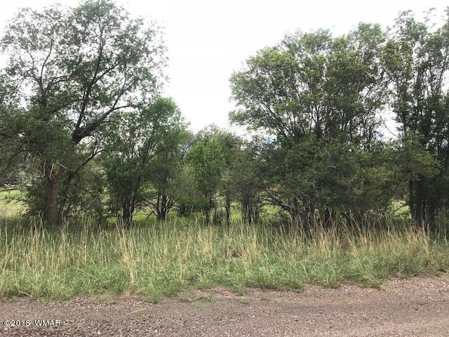 Lot 29 Tori Circle Springerville, AZ 85938 - Photo 1 of 3