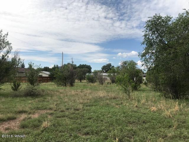 Lot 29 Tori Circle Springerville, AZ 85938 - Photo 2 of 3