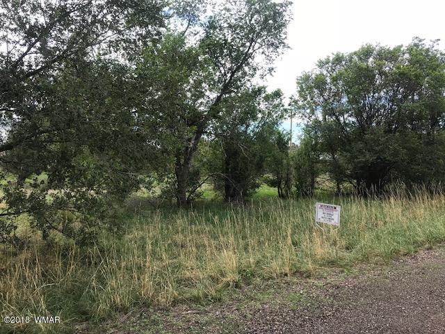 Lot 29 Tori Circle Springerville, AZ 85938 - Photo 3 of 3
