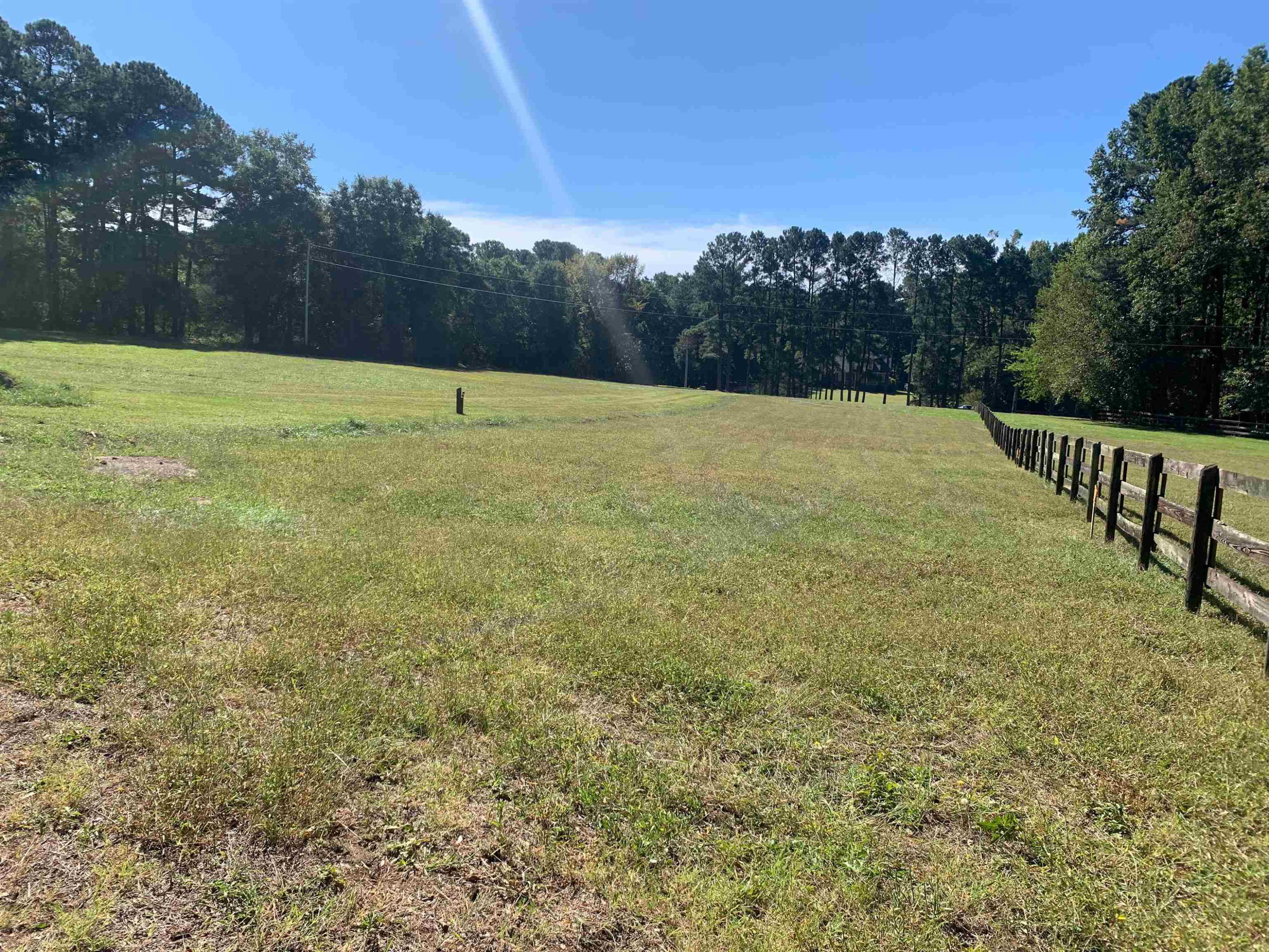 3919-1 Blackard Pond Road Raleigh, NC 27604 - Photo 5 of 7 a view of a field with an trees