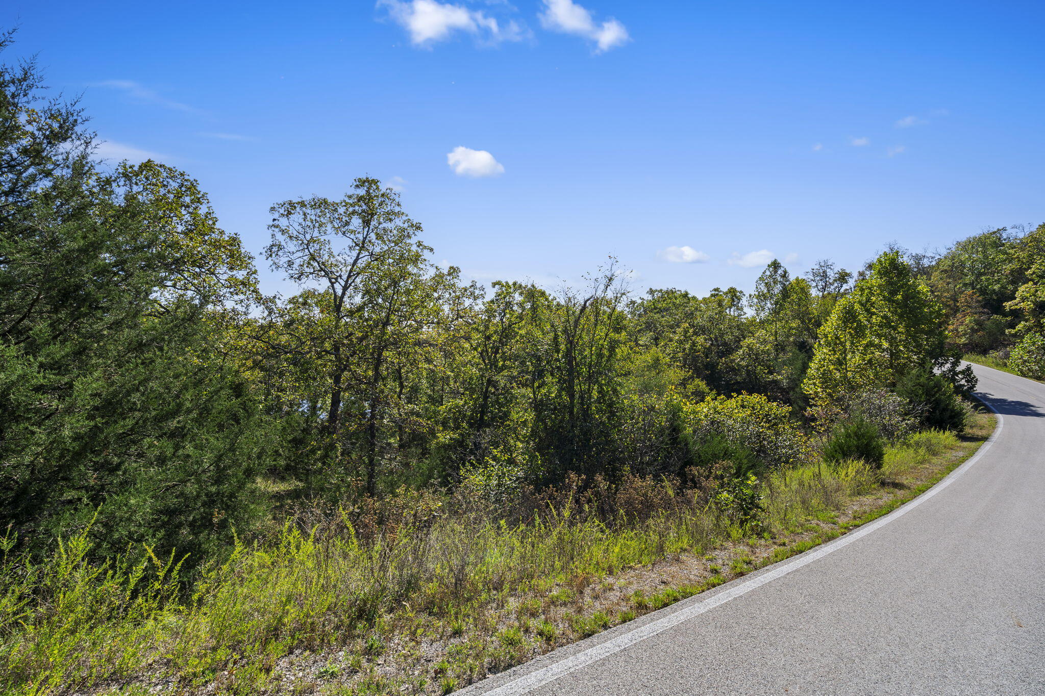 Lot 312 Weatherstone Drive Reeds Spring, MO 65737 - Photo 9 of 49 Table Rock Lakefront Build Site
