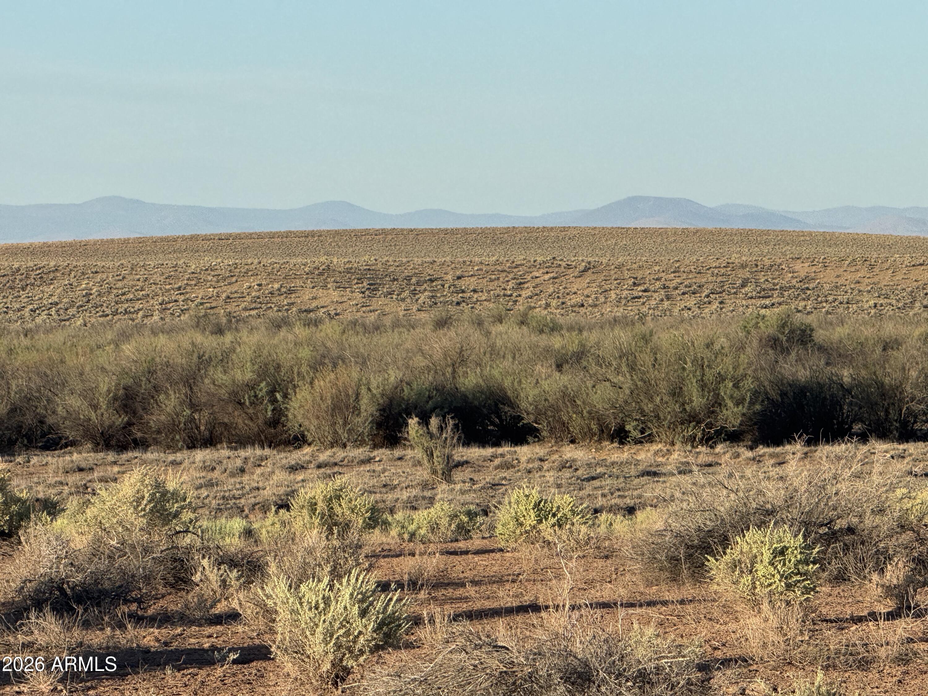 Lot 445 Carrizo Ranch, Unit 445 St. Johns, AZ 85936 - Photo 1 of 17 IMG_1881