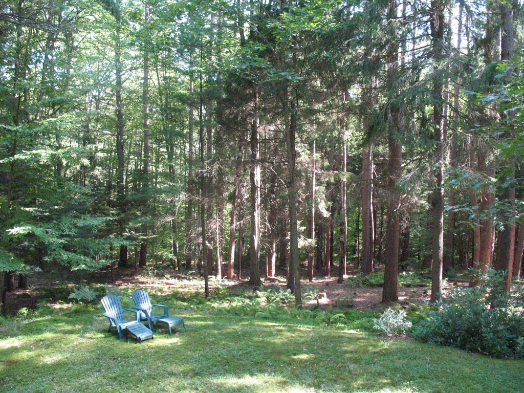 184 Morgan Road Richmond, NH 03470 - Photo 11 of 16