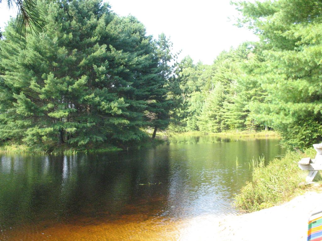 184 Morgan Road Richmond, NH 03470 - Photo 13 of 16