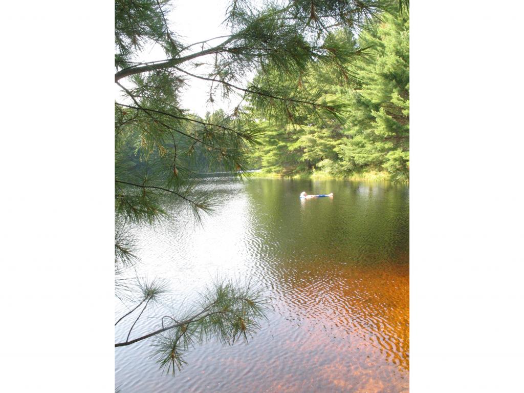 184 Morgan Road Richmond, NH 03470 - Photo 16 of 16