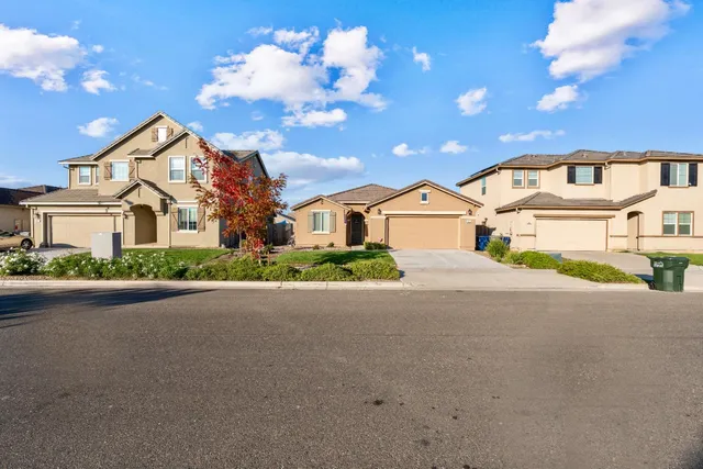 a view of a backyard with potted plants