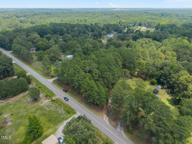 a view of a lush green forest with a street