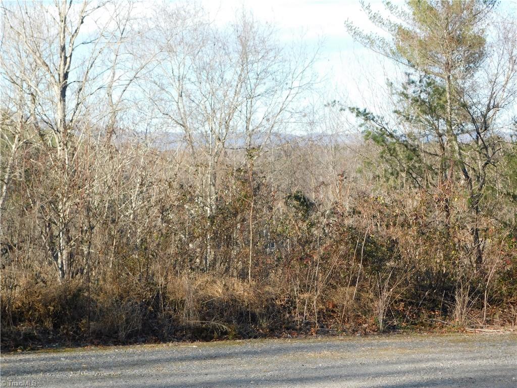 227 York Road Mount Airy, NC 27030 - Photo 27 of 39 Gallery Image 27