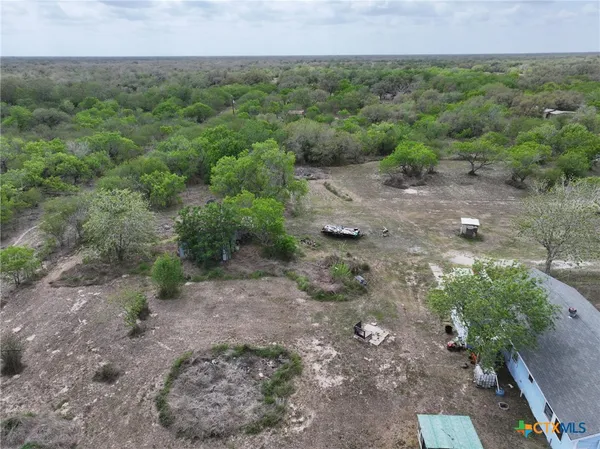 a view of a dry yard with trees