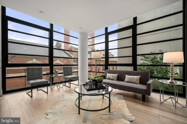 a living room with furniture a rug and a potted plant