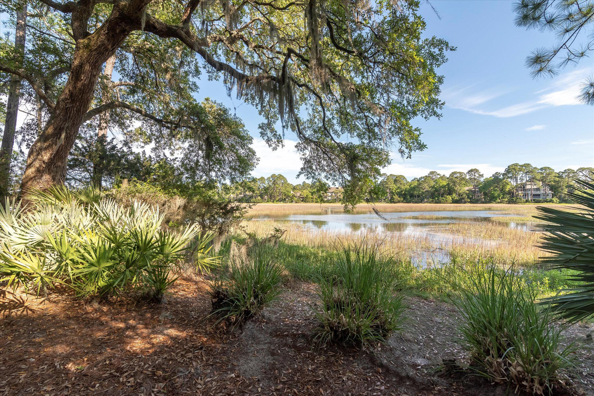 18 Blue Heron Pond Road Kiawah Island, SC 29455 - Photo 65 of 99 Additional Photo