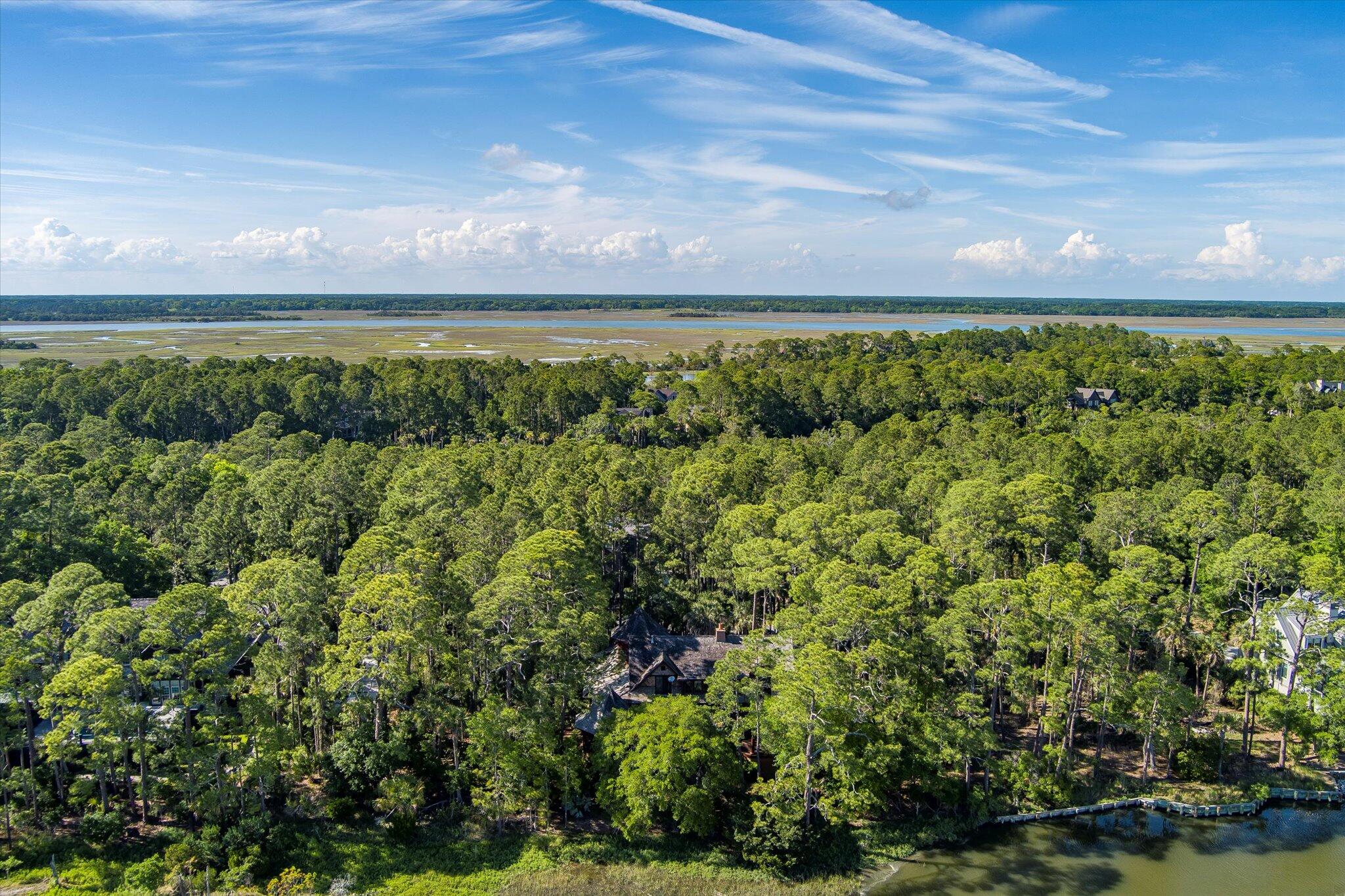 18 Blue Heron Pond Road Kiawah Island, SC 29455 - Photo 68 of 99 Additional Photo