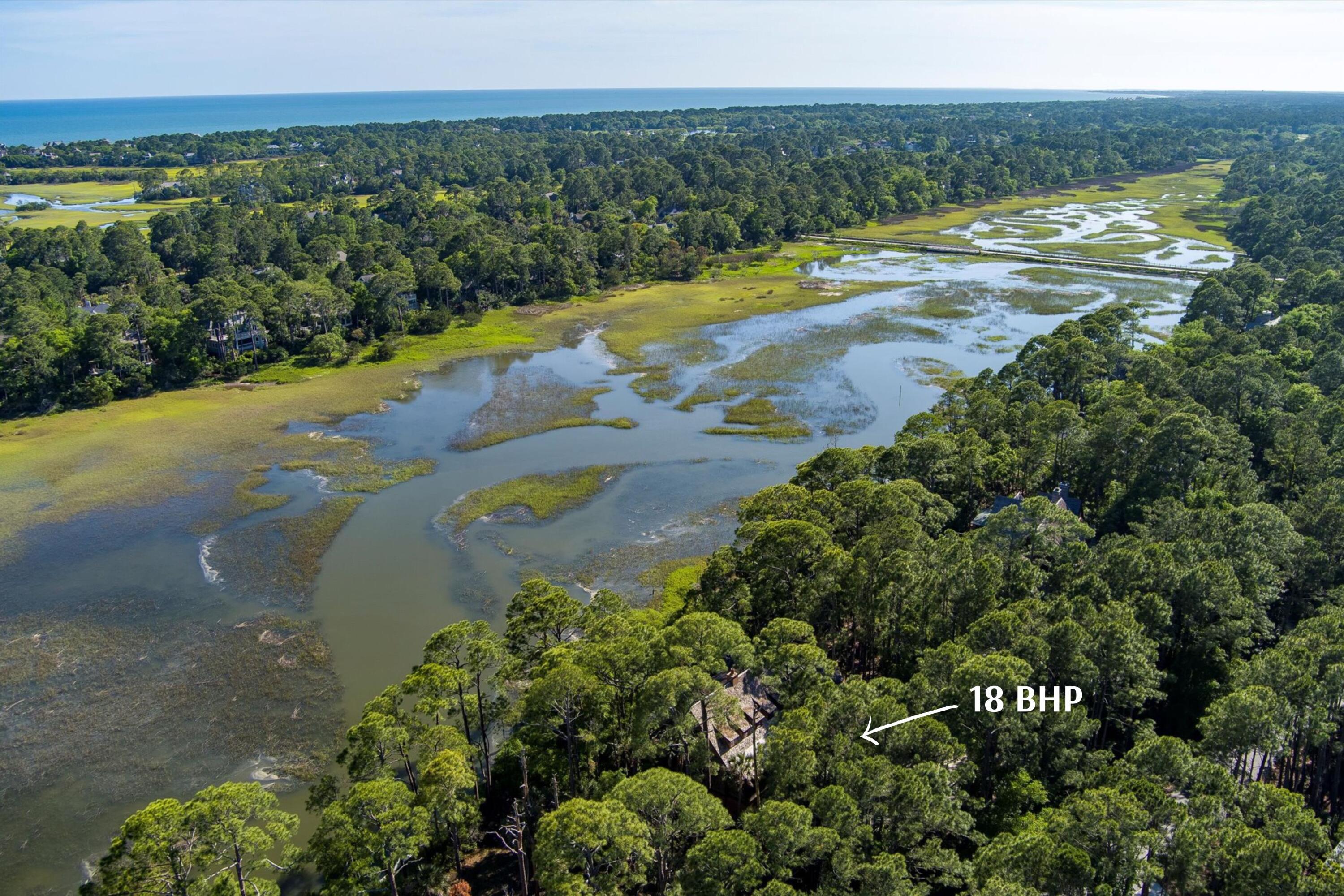 18 Blue Heron Pond Road Kiawah Island, SC 29455 - Photo 7 of 99 Additional Photo