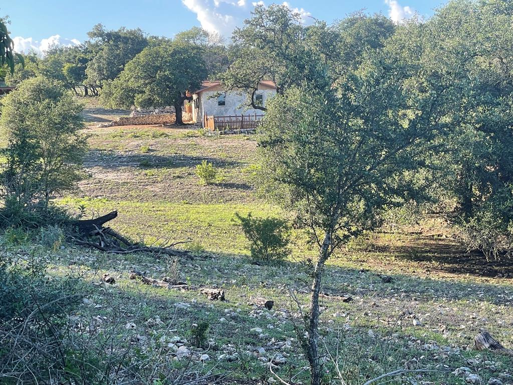 92 Himmel Road Fredericksburg, TX 78624 - Photo 54 of 72 Gallery Image 54