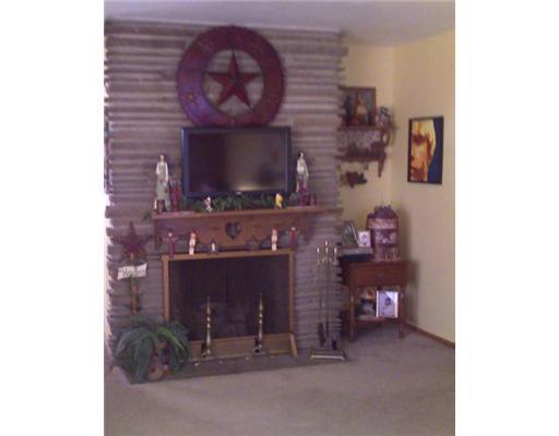 49 Emery Road Fredericktown, PA 15333 - Photo 8 of 8 Other. Gas Log Fireplace