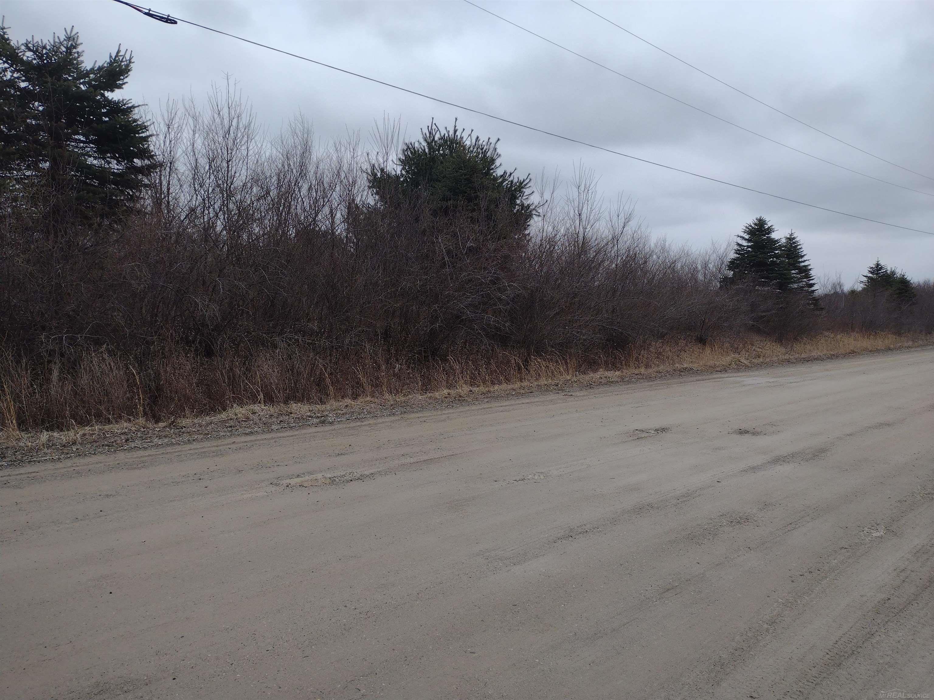 399 Pine Ridge Road St. Clair, MI 48079 - Photo 4 of 4